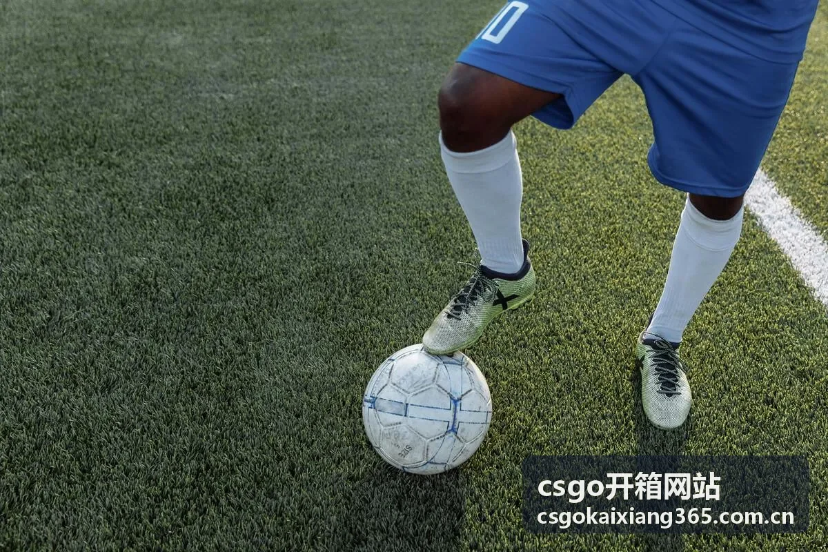 CSGO开箱网站武器箱格洛克18荒野复仇皮肤